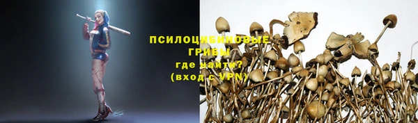 прущая мука Вязьма