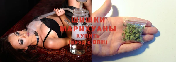 мдпв Вязники