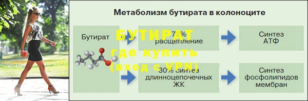 прущие грибы Вяземский