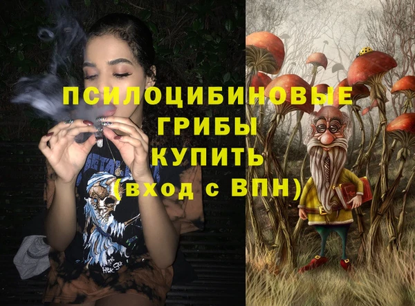 ешки Володарск