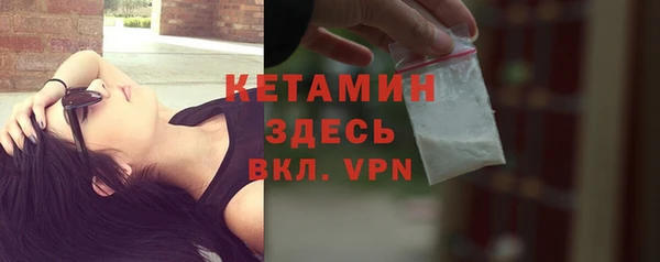 прущие грибы Вяземский