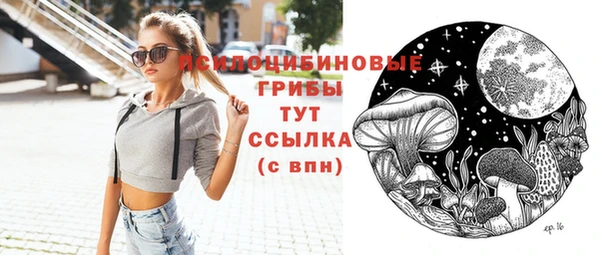 мдпв Вязники