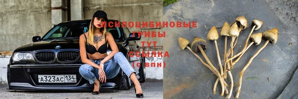 мдпв Вязники