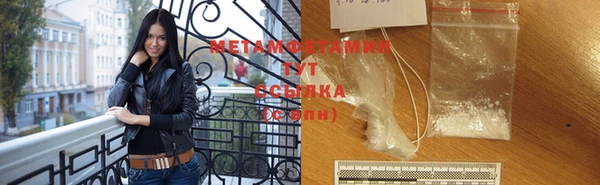 прущие грибы Вяземский