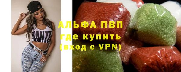 прущие грибы Вяземский