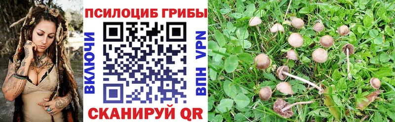 купить наркотики сайты  Канаш  мориарти официальный сайт  Псилоцибиновые грибы ЛСД 